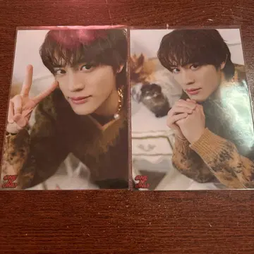 우에무라 켄신 브로마이드 ONE N' ONLY KENSHIN 026