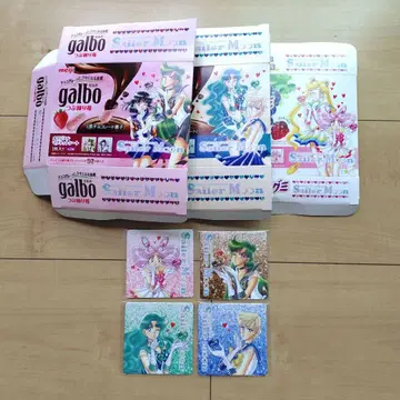 세일러문 메이지 마그넷 시트 4장 세트 외상자 포함