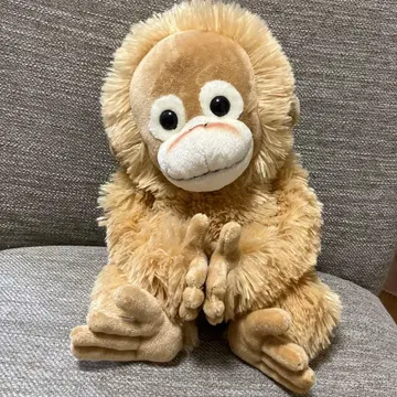 베이비 코코 봉제 인형