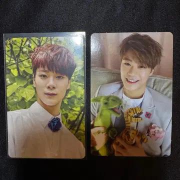 문빈 트레이딩 카드 SUMMERVIBES WinterDream 2장 세트