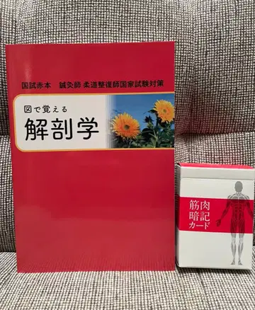 그림으로 배우는 해부학 근육 암기 카드 2세트 국가시험 대책