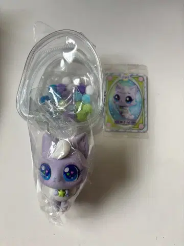 NCT WISH wishcat 시온