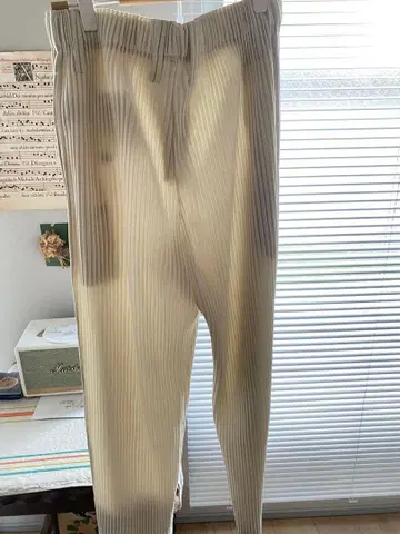 택 포함 새상품 옴므플리세 팬츠 COLOR PLEATS HP23JF194