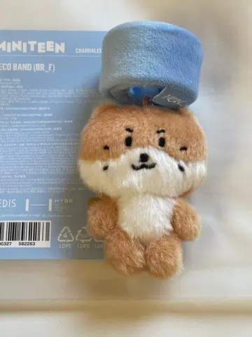 SEVENTEEN miniteen 디노 데코 밴딩