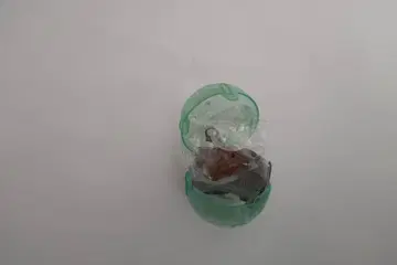 메지루시 액세서리 카피바라 씨