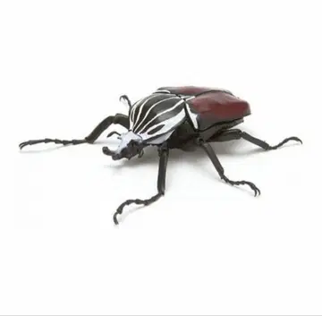 [ (레어)BANDAI 생물대도감 딱정벌레 03 골리앗꽃무지 ]