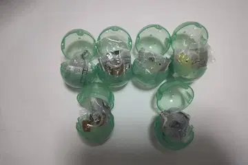 메지루시 액세서리 카피바라 씨 컴플리트