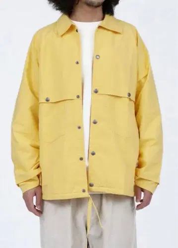 The north face purple label jacket