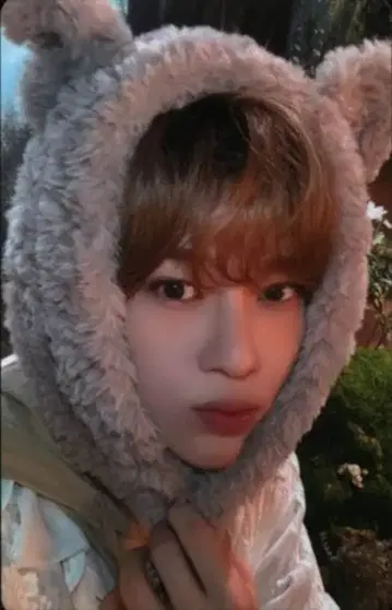 NCT WISH 포토카드 세트 SION WISH BOOK 발행 기념 굿즈