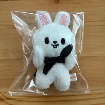 straykids 스키즈 마그넷 키링 반자이 누이 리비트