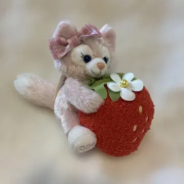 리나벨 스트로베리 기프트 딸기