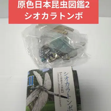 유진 원색 일본 곤충 도감 2 잠자리 미개봉품