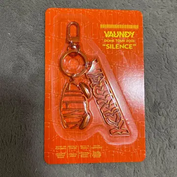 VAUNDY DOME TOUR 2026 키링