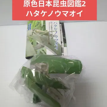 유진 원색 일본 곤충 도감 2 하타케노우마오이 미개봉품