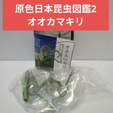 유진 원색 일본 곤충 도감 2 대만사마귀 미개봉품