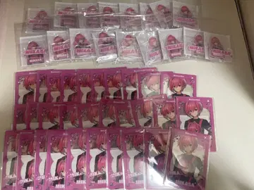 미카사 군 Meteorites 묶음 판매