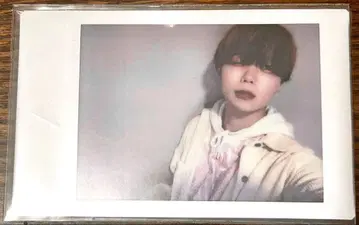 말랑말랑 팬더 드래곤 파라곤 아즈 폴라로이드