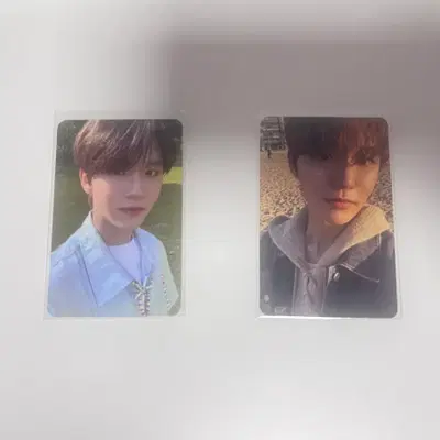 엔시티위시 재희 위시 송버드 앨범 포카