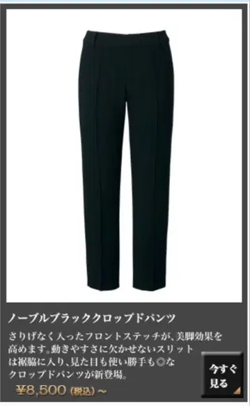 DHC STANDAR 노블 블랙 크롭 팬츠 13호