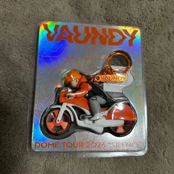 VAUNDY DOME TOUR 2023 키링