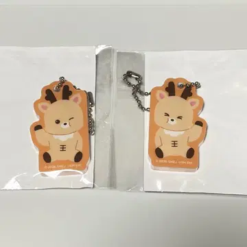 성찬 랜덤 토이 아크릴 참 RIIZE