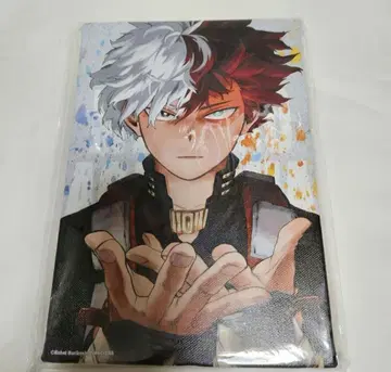 히로아카 토도로키 쇼토 풀컬러 아트 보드