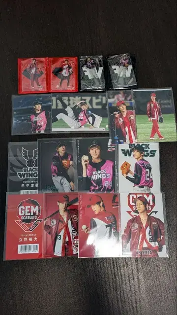 ACTORS LEAGUE in Baseball 브로마이드 아크릴 스탠드