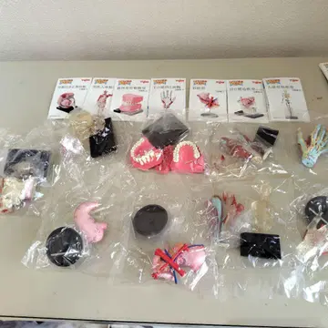 어린이 도감 인체 해부 도감 2 피규어 미개봉 유진