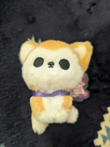 초특급 료가 생탄 굿즈 티아라 누이