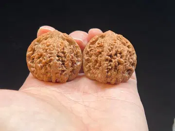 문완당: 백화산만텐신 (하이그레이드)