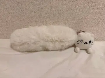 초특급 타카시 2024년 생탄 냥데모치