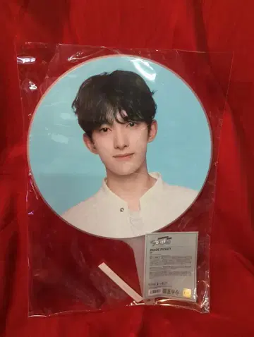 세븐틴 2024 팔로우 어게인 투 재팬 DK 이미지 피켓