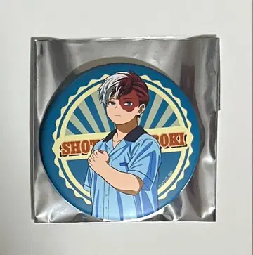 히로아카 토도로키 쇼토