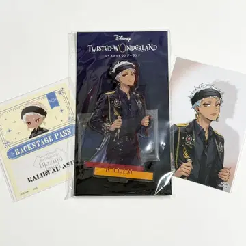 새상품 트위스테 브레이징 주얼 카림 아크릴 스탠드 포트레이트 카드