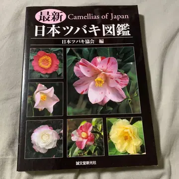 최신 일본 츠바키 도감