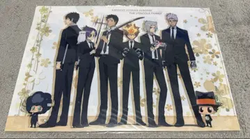 가정교사 히트맨 리본 클리어 파일 봉고레 패밀리 아르꼬발레노