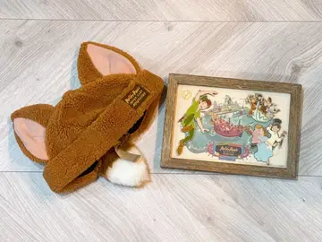 피터팬 핀 배지 프레임 & 캡 [ 잃어버린 아이들 ] 여우