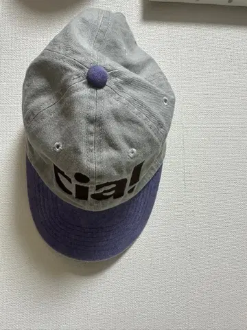 ciatre 그레이와 보라색 로고 캡