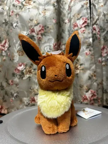 포켓몬 이브이 봉제 인형 약 15cm
