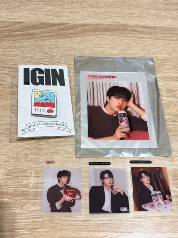 BTS JIN 진 IGIN 아이긴 입장 특전 스티커 핀 배지