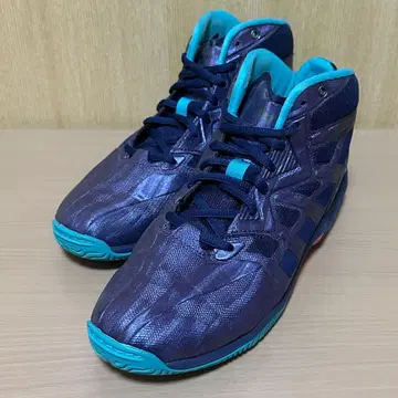 웨이브 다이버스 한정판 색상 25cm 퍼플 댄스 피트니스 신발