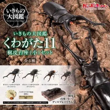 생물 대도감 장수풍뎅이 11 온라인 한정판 컴플리트