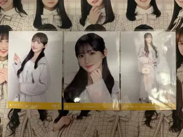노기자카46 브로마이드 파스텔 코트 카와사키 사쿠라 컴프