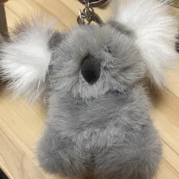 택 포함 새상품 GELATO PIQUE 젤라피케 코알라 참