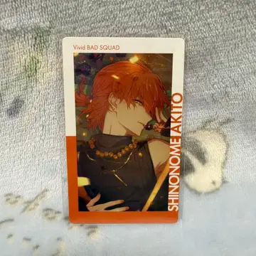 프로세카 에피카 시노노메 아키토 설날 25b