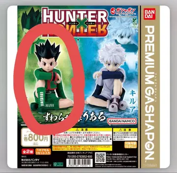 HUNTER HUNTER 곤 스와라세타이 리얼