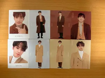 seventeen winter 원우 민규 트레이딩 카드