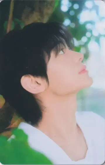 TWS PHOTO CARD HANJIN 첫인사 MERCH 16