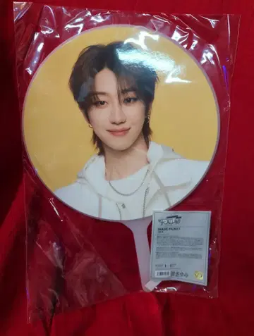 세븐틴 2024 팔로우 어게인 투 재팬 디에잇 이미지 피켓