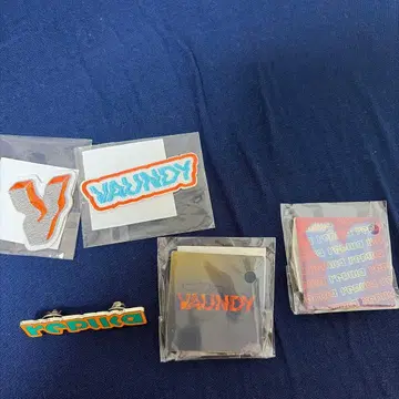 VAUNDY 아플리케와 핀 배지 세트